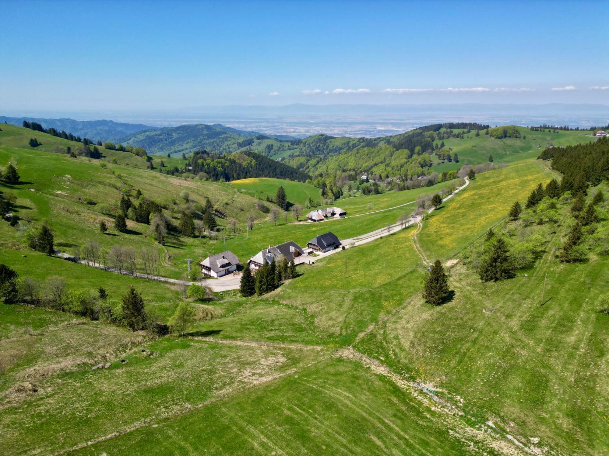 View House, Schauinsland, Black Forest Münstertal Εξωτερικό φωτογραφία